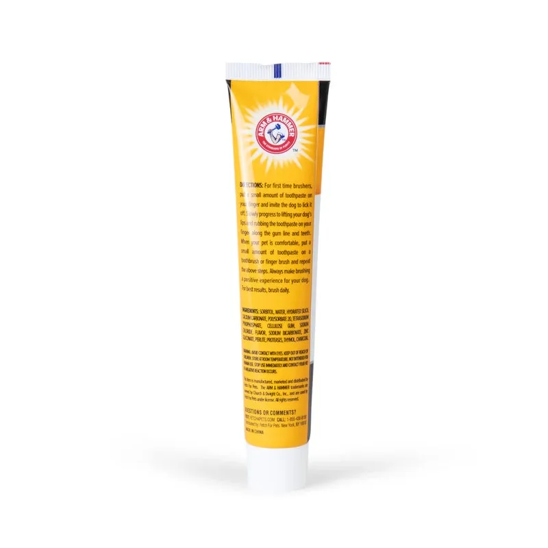 Arm & Hammer Charcoal Bright Dental Kit for Dogs, Mint
