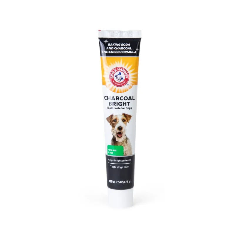 Arm & Hammer Charcoal Bright Dental Kit for Dogs, Mint