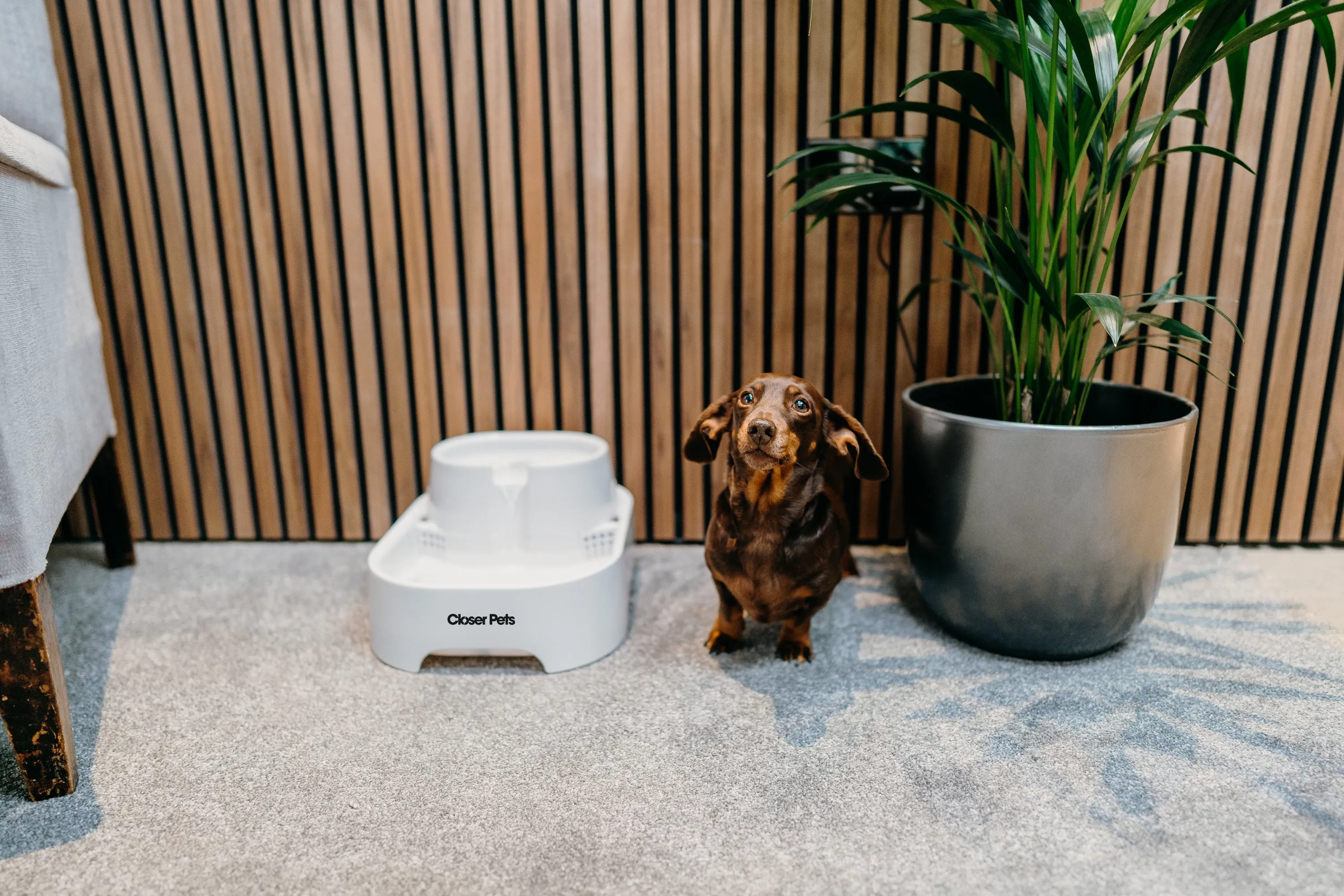 Closer Pets Large Two-level Six-litre Pet Fountain – White (CP 385)