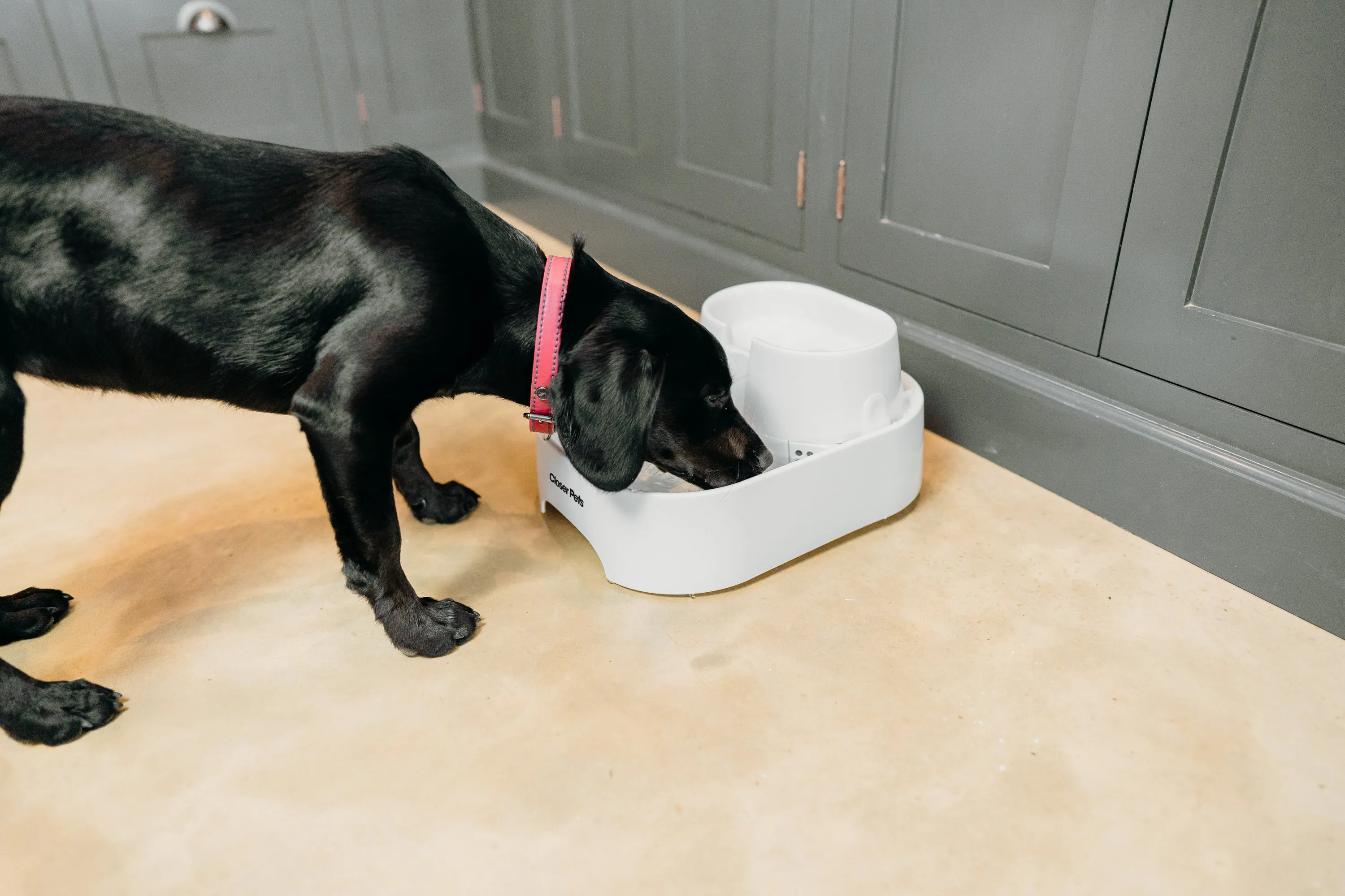 Closer Pets Large Two-level Six-litre Pet Fountain – White (CP 385)