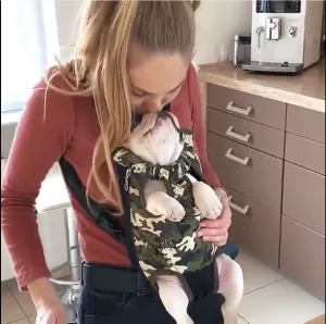 Frenchie Carrier Backpack ™ (CS09)