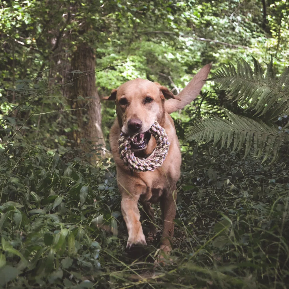 Hemp Rope Jungle Ring Dog Toy