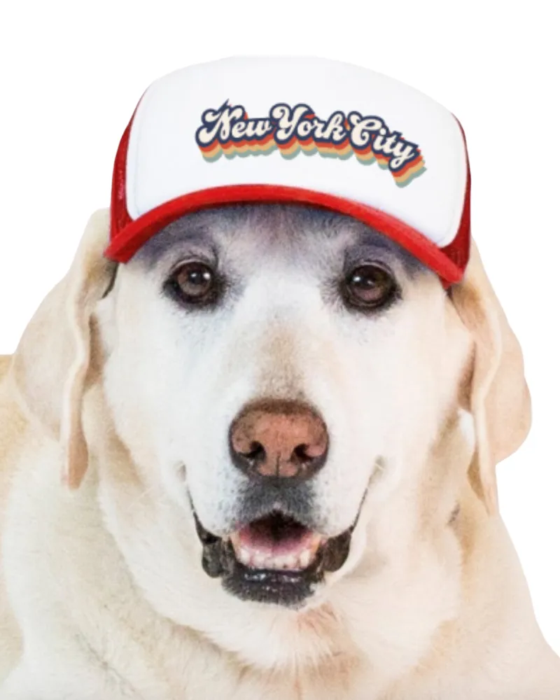 New York City Pet Trucker Hat (DOG & CO. EXCLUSIVE)