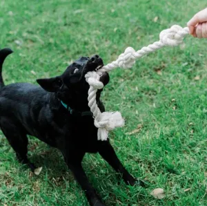 Organic Cotton Dog Rope Toy 1"