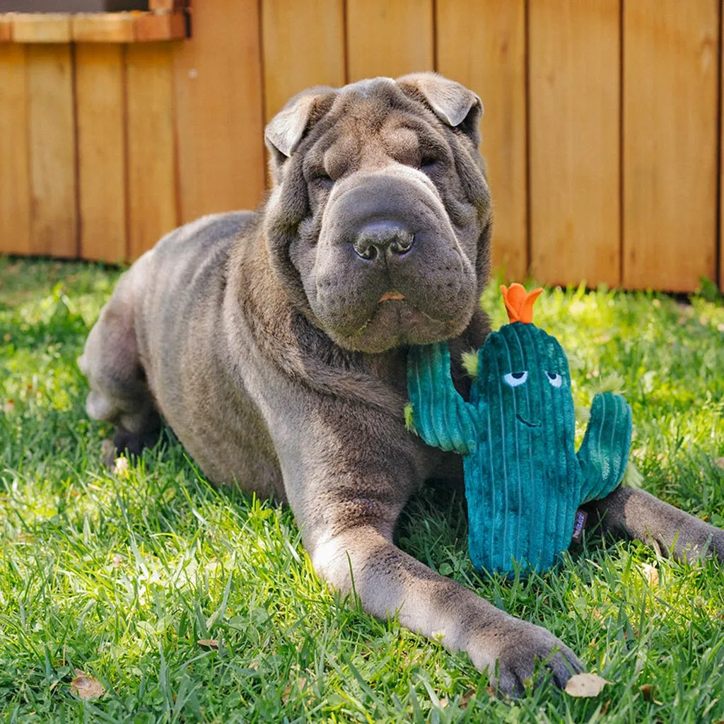 Prickly Pup Cactus Plush Dog Toy