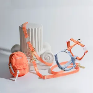 Rainbow Hands Free Mini Dog Backpack Kit