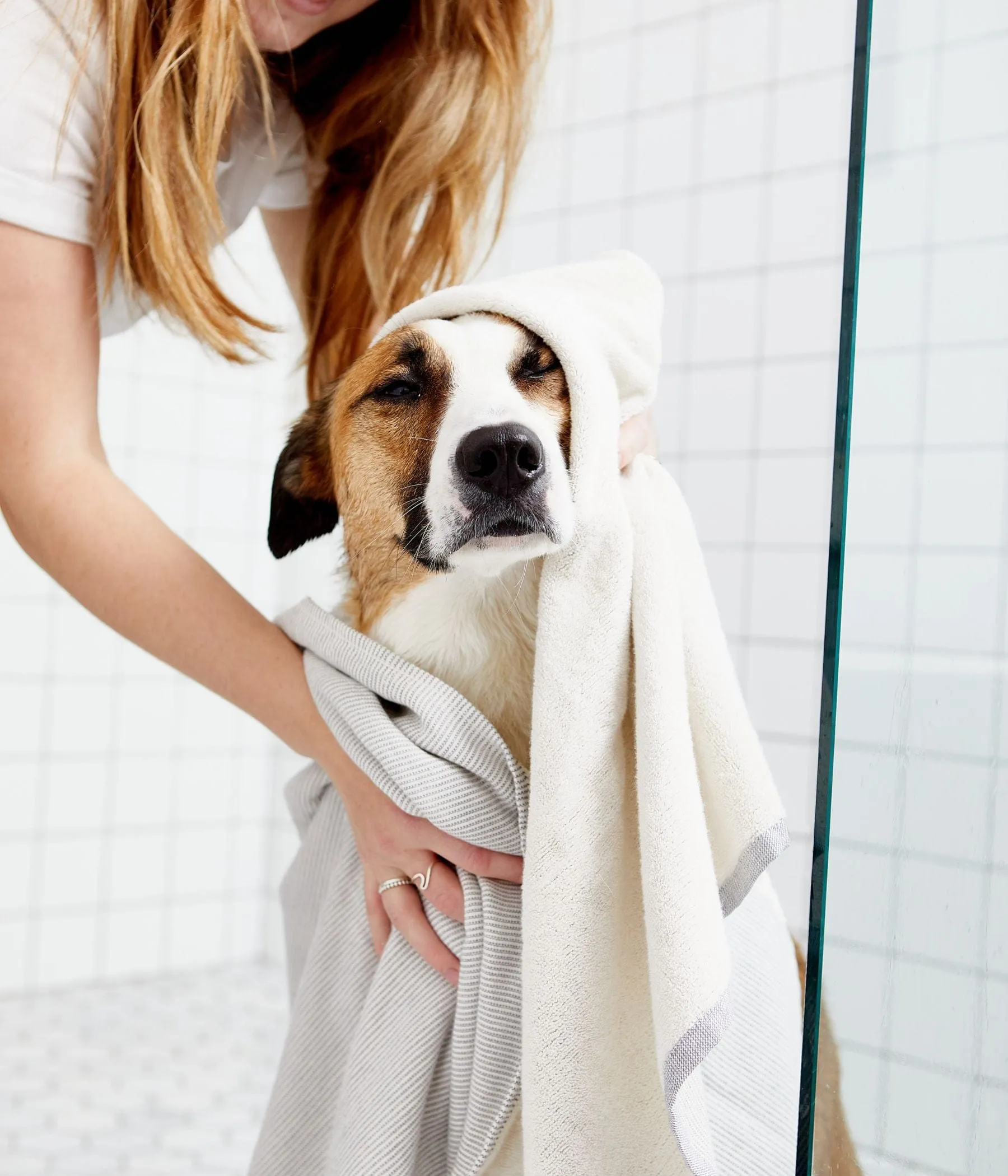 The Patch - Dog Shampoo Bar