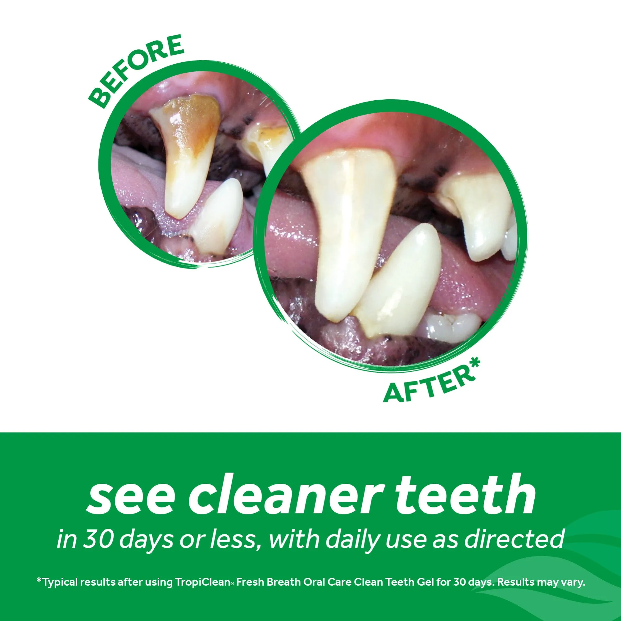 Tropiclean Fresh Breath Advanced Whitening Oral Care Kit